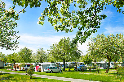 Stellplatz  Camping Wirthshof